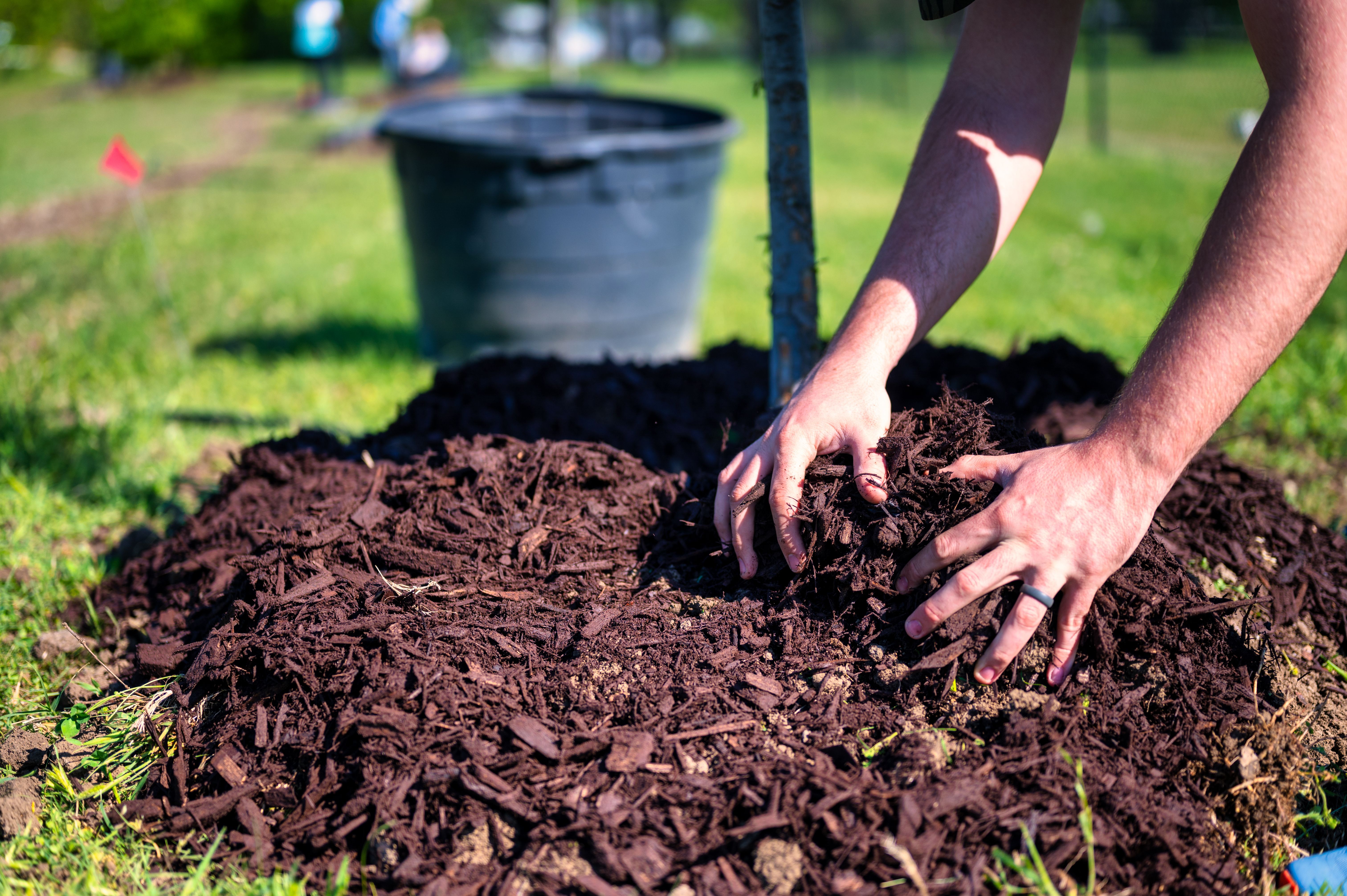 Fresh black mulch installed around flower beds at a residential property in Loudoun County, Virginia.