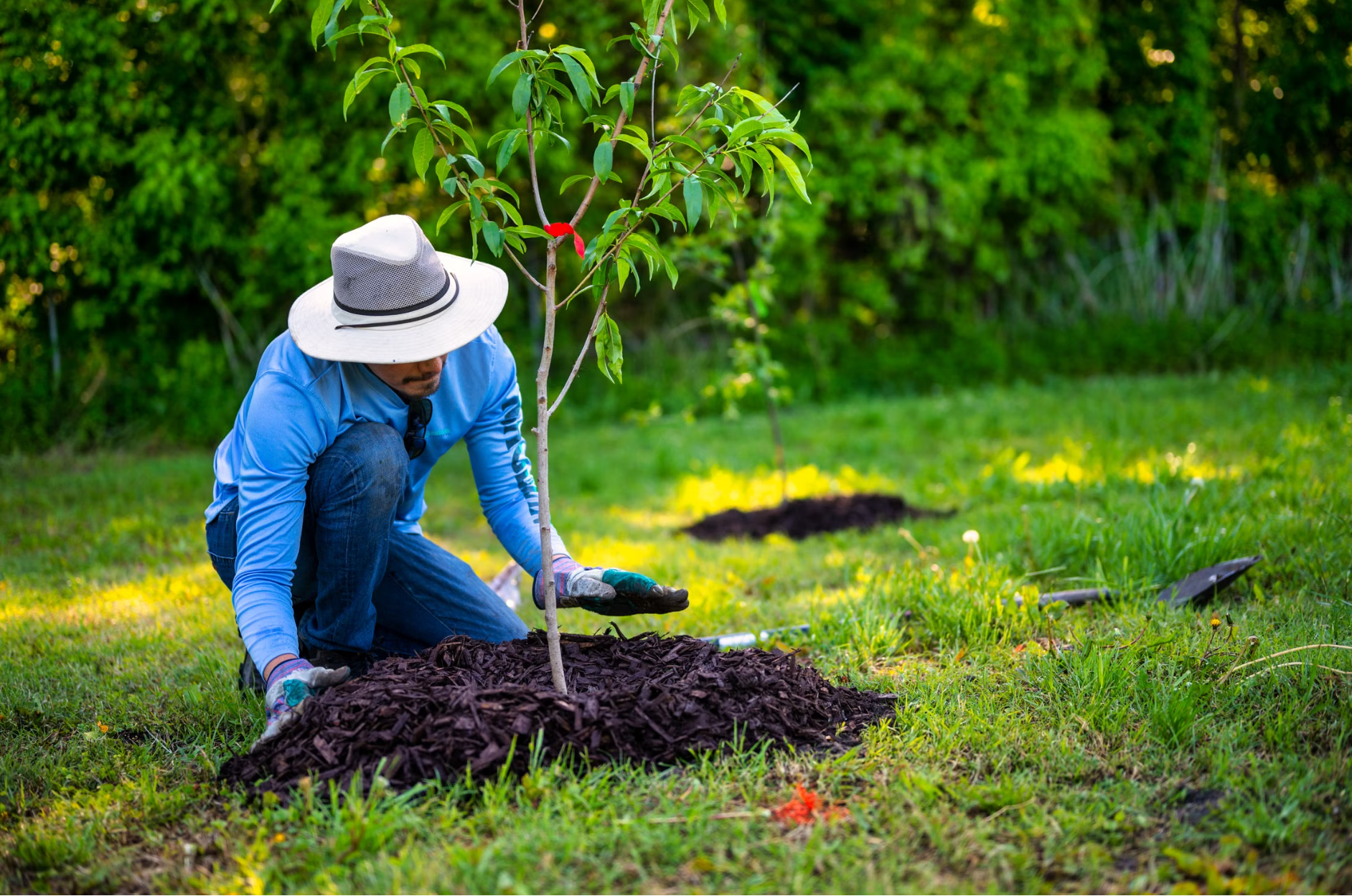 Professional mulch installation around landscape beds with fresh dark mulch at a residential property in Loudoun County, Virginia.