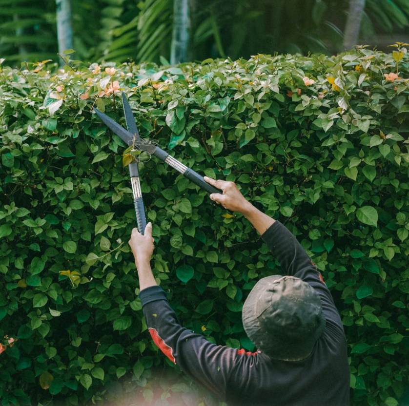 Professional landscaping services featuring new shrubs, trees, mulch, and custom landscape bed installation for a residential property.