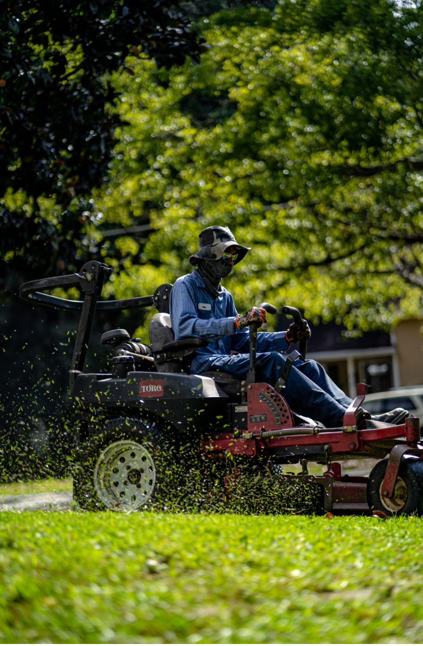 Professional lawn care services with routine mowing, edging, and trimming to maintain a healthy, well-manicured lawn.