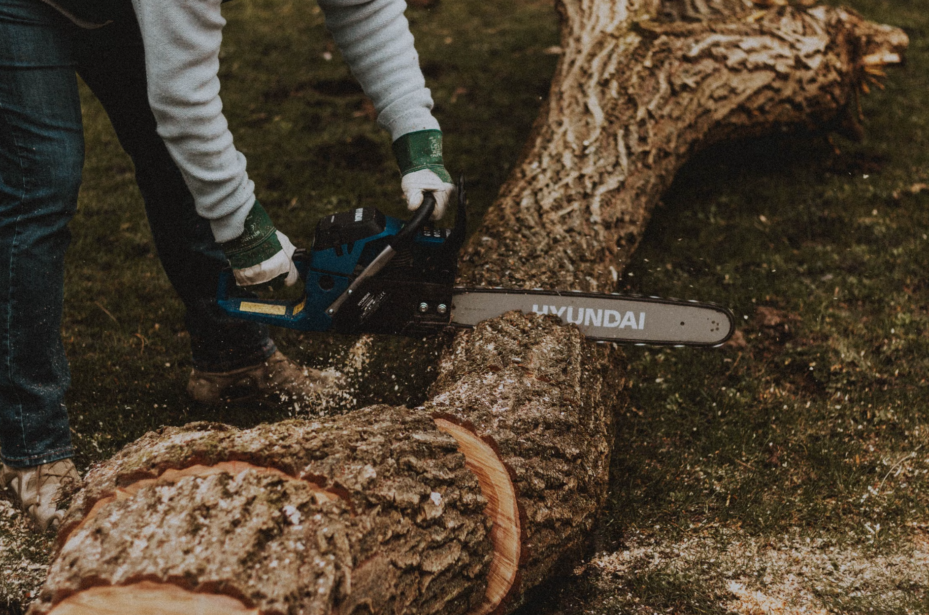 Tree removal service safely cutting down a large tree in Loudoun County, VA