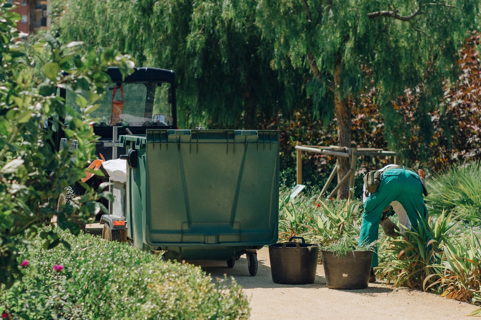 Professional tree and plant services including pruning, trimming, planting, and maintaining healthy residential landscapes.